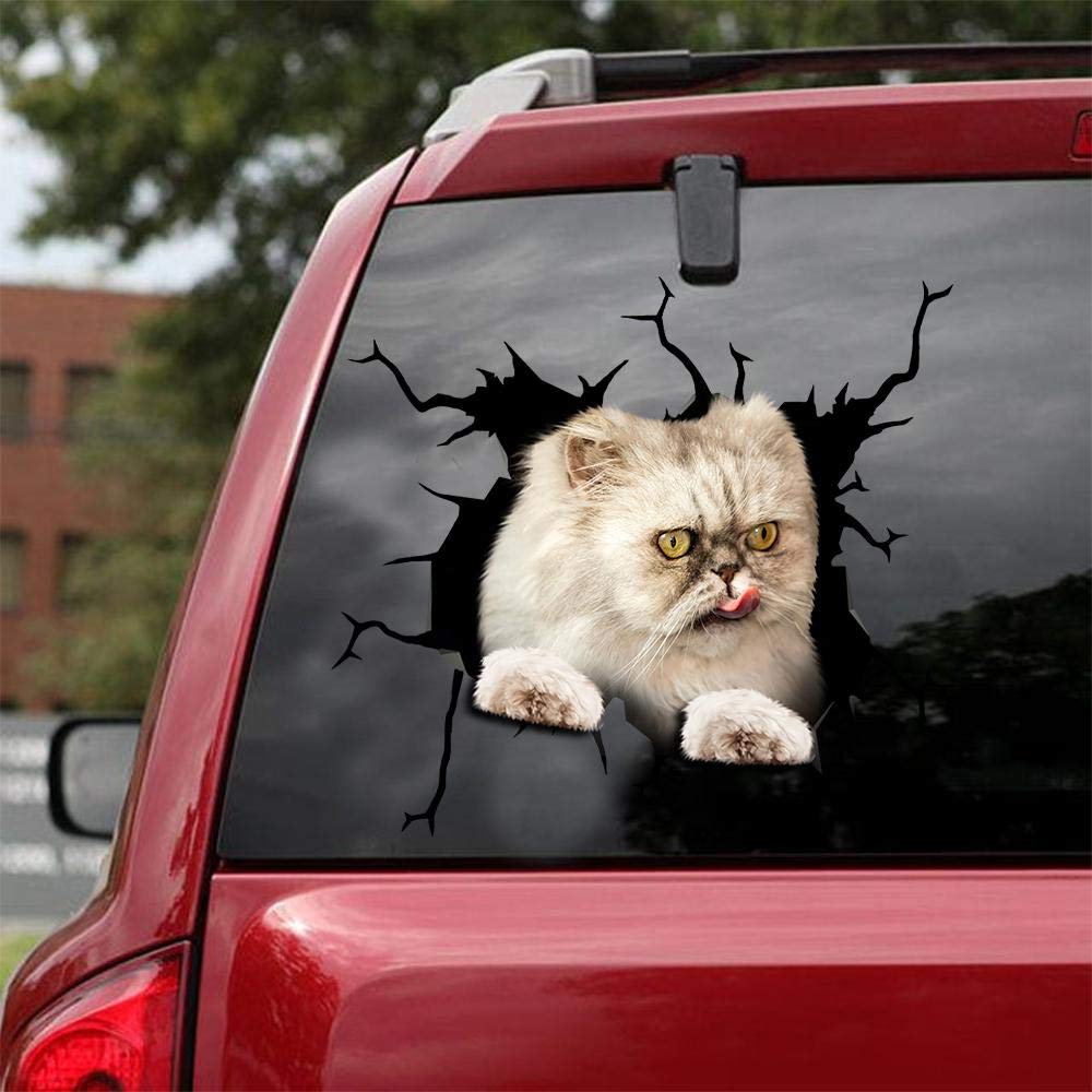 Persian Cat Car Decals - Pack of 2 Premium 12
