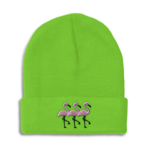 Lime Design Only