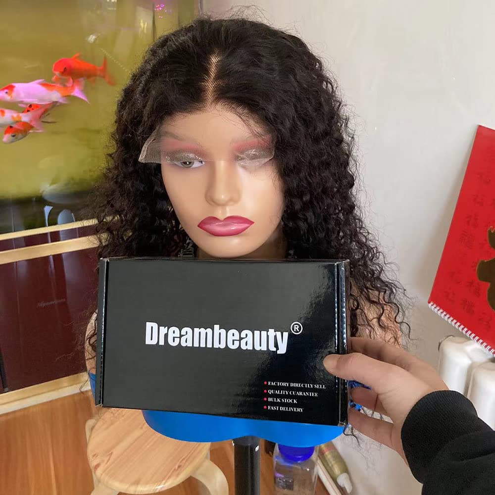 Dreambeauty 300% Density 13x6 Transparent Lace Front Human Hair Wigs - Water Wave Brazilian Remy Hair 6 Inch Deep Part Lace Wig with Baby Hair for Women (18 Inch) - Perfect for Daily Wear, Parties & Special Occasions