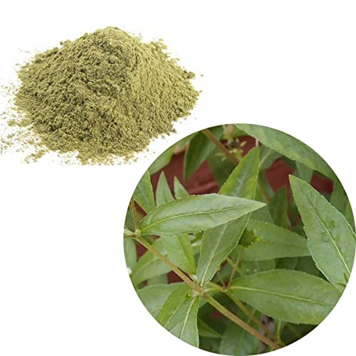 Organic Bhringraj Powder for Skin Whitening & Hair Care - 500g | Natural Face Brightening & Scalp Treatment | Perfect for DIY Beauty Masks & Ayurvedic Remedies