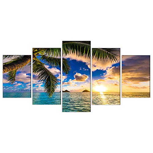 B-5pcs