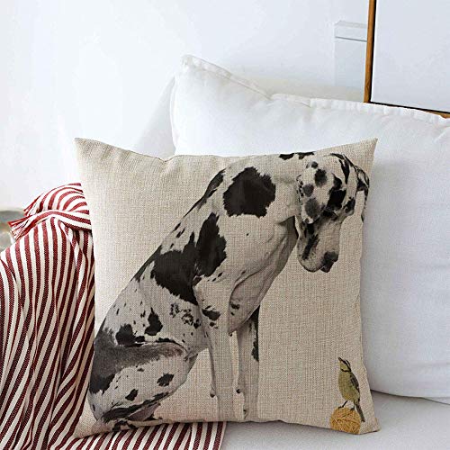 Blue Humor Great Dane Harlequin Dog Throw Pillow Cover - 16x16 Inch Linen Cushion Cover with Sitting Dog & Yellow Ball Design - Perfect for Couch, Car, Bedroom & Home Decor - Funny Animal Wildlife Gift Idea