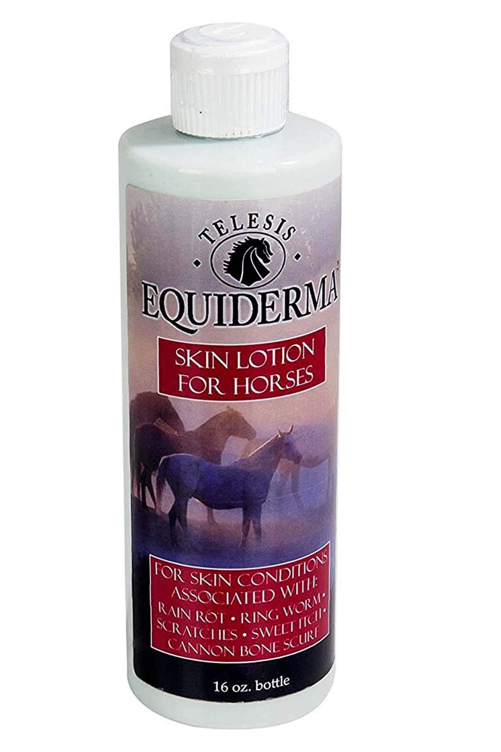 EQUIDERMA (2 Pack) Horse Skin Lotion for Rain Rot, Ringworm & Cannon Bone Scurf Treatment | Includes 10ct Pet Faves Wipes | Ideal for Equine Care, Grooming & Skin Protection