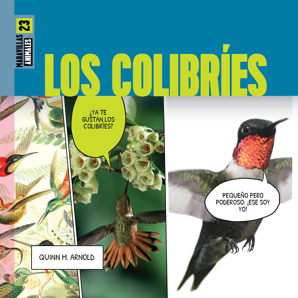 Hummingbirds Wonders - Stunning Hummingbird Gifts & Decor for Nature Lovers | Perfect for Home Decor, Garden Ornaments & Bird Watching Enthusiasts