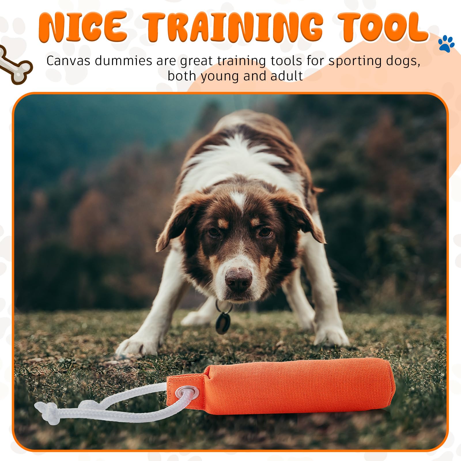 2 Pack Orange Dog Training Bumpers - 9.8 x 2.8 Inch Canvas Hunting Dummy for Retrieval Practice, Field Training & Outdoor Dog Exercises (Not Chew Toys) - Perfect for Hunting Dogs, Retrievers & Field Training Sessions