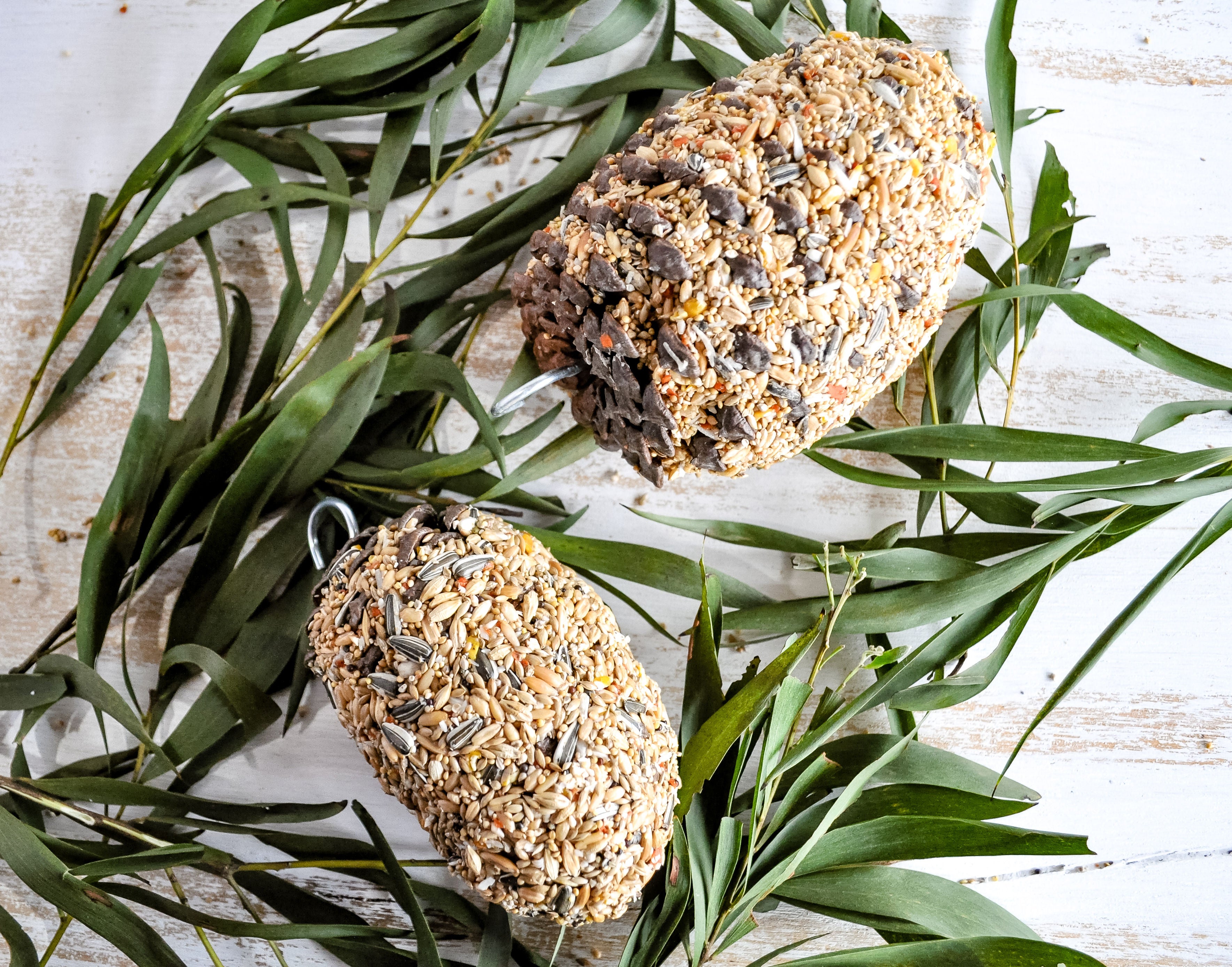 Natural Pine Cone Bird Feeder - Large Foraging Treat for Wild Birds, Parrots & Pet Birds - Perfect for Backyard Bird Watching & Outdoor Bird Feeding Activities