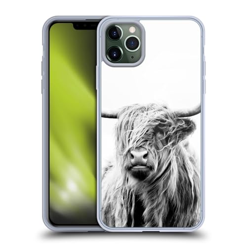 Portrait of a Highland Cow