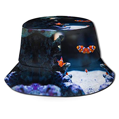 Goldfish_a05