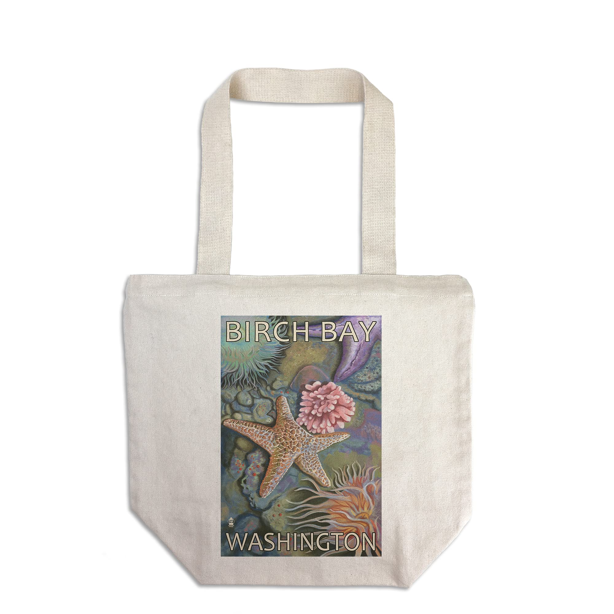 Lantern Press Tidepool Birch Bay Washington - 100% Cotton Canvas Reusable Tote Bag for Shopping, Beach & Groceries | Eco-Friendly Carry All