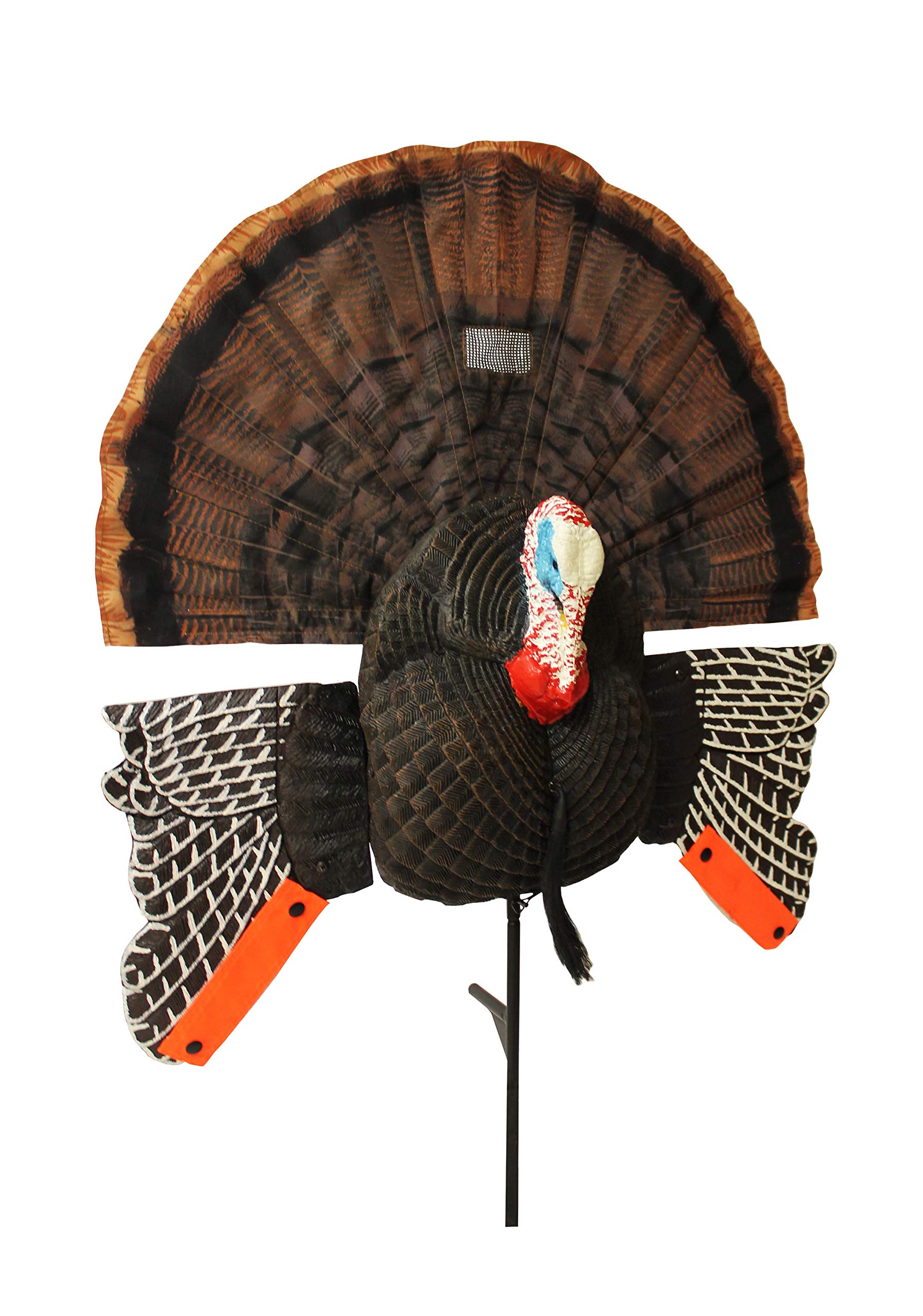 MOJO Scoot-N-Shoot MAX Tom Turkey Hunting Decoy with Realistic Fan - Best Turkey Decoy for Spring Hunting & Field Tactics