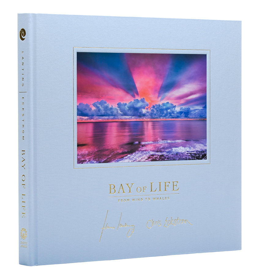 Bay of Life Collector's Edition - Limited Edition Collectible for Fans & Enthusiasts - Perfect for Display, Gifting, and Home Decor