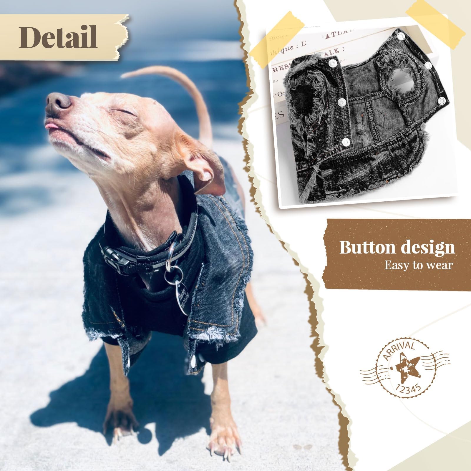 Stylish Black Denim Dog Jacket - Small Pet Clothes for Small & Medium Dogs & Cats - Puppy Shirts, Doggy Costume for Shih Tzu, Chihuahua, Yorkie - Perfect for Outdoor Walks, Pet Parties & Photo Shoots