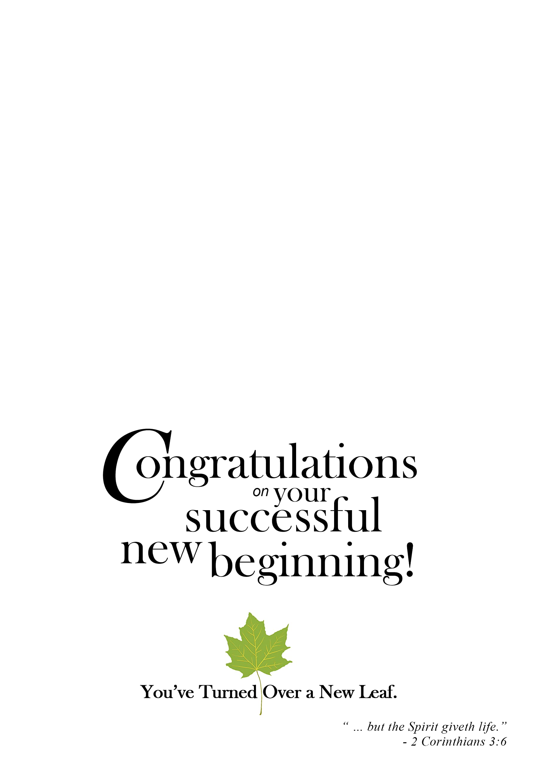 Beautiful Greeting Cards for All Occasions - Birthday, Christmas, Thank You & More | Perfect for Gifts, Parties & Special Moments