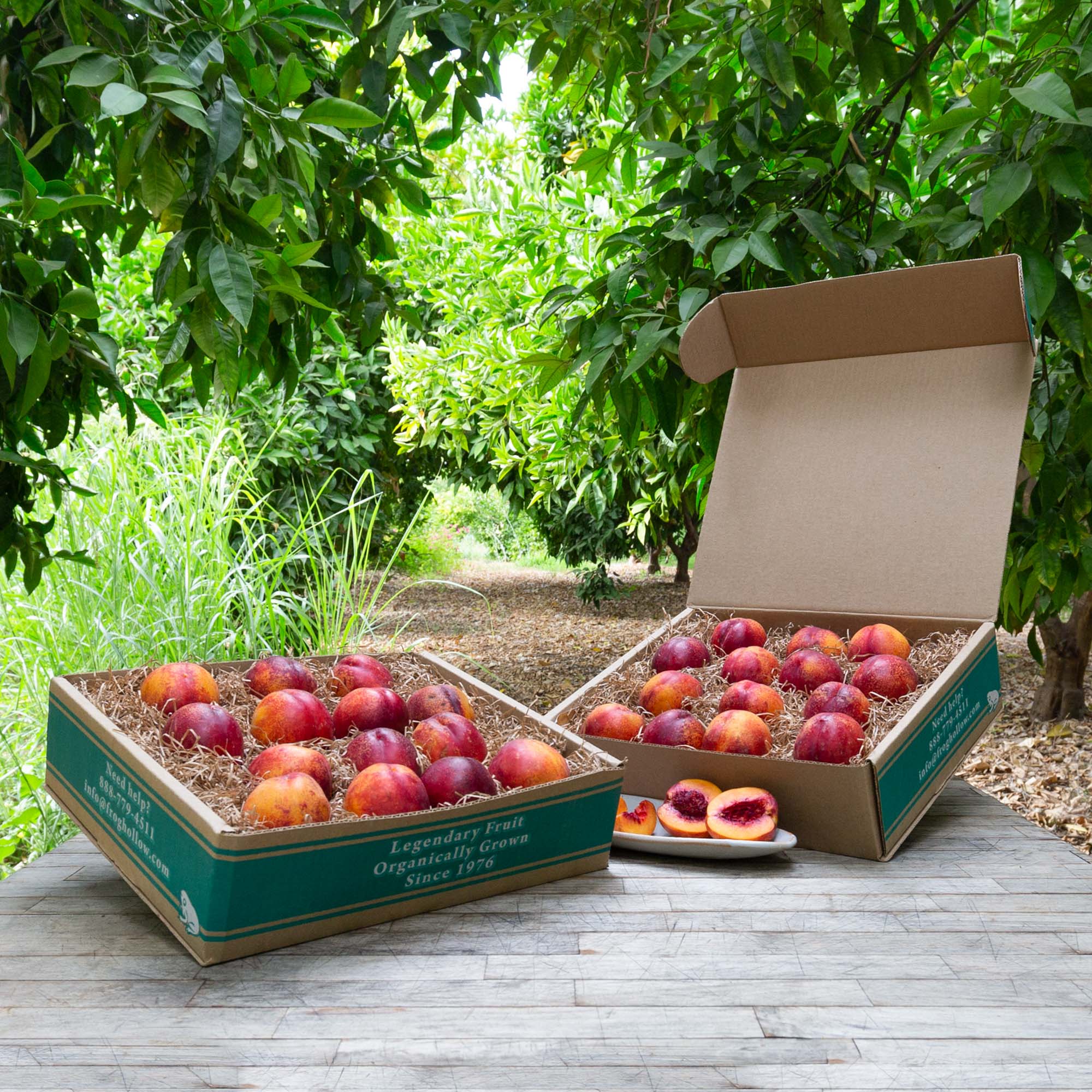 Organic Yellow Nectarines - Sweet Juicy Summer Fruit | Pre-Order Now for 2025 Harvest | Perfect for Fresh Eating, Smoothies & Fruit Salads