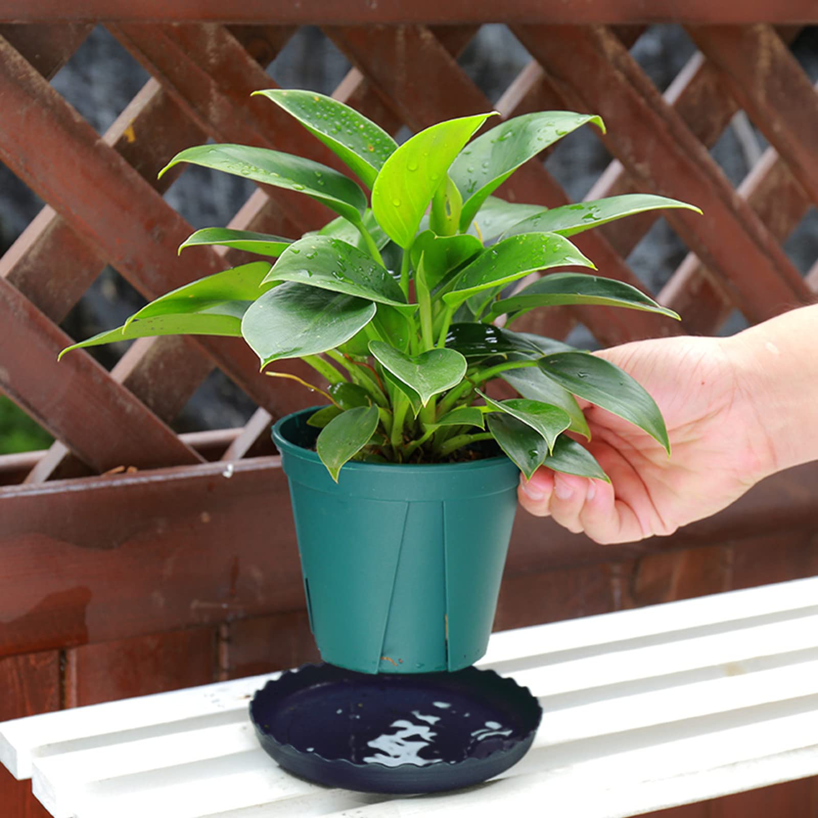 12Pcs Black Plastic Plant Saucers - 6, 8, 10 Inch Durable Round Plant Trays for Indoor & Outdoor Gardening - Perfect Drip Catchers for Pots, Balconies, Greenhouses & Patios