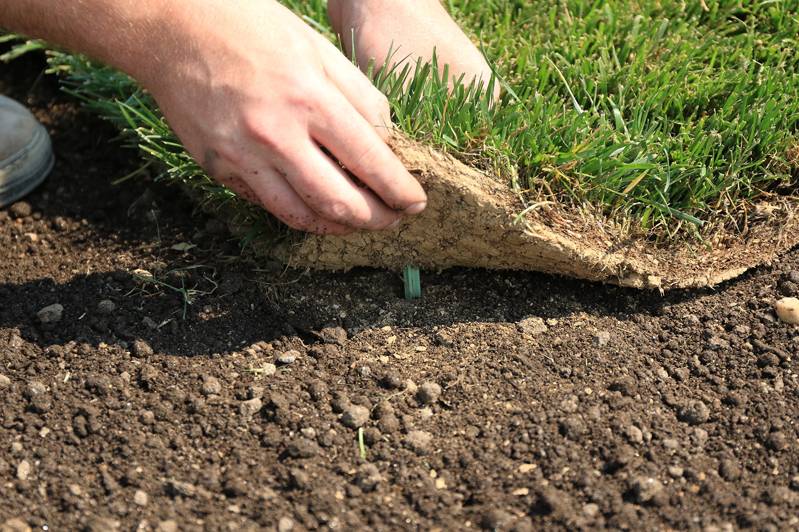 GreenStake Box of 500 Biodegradable 4