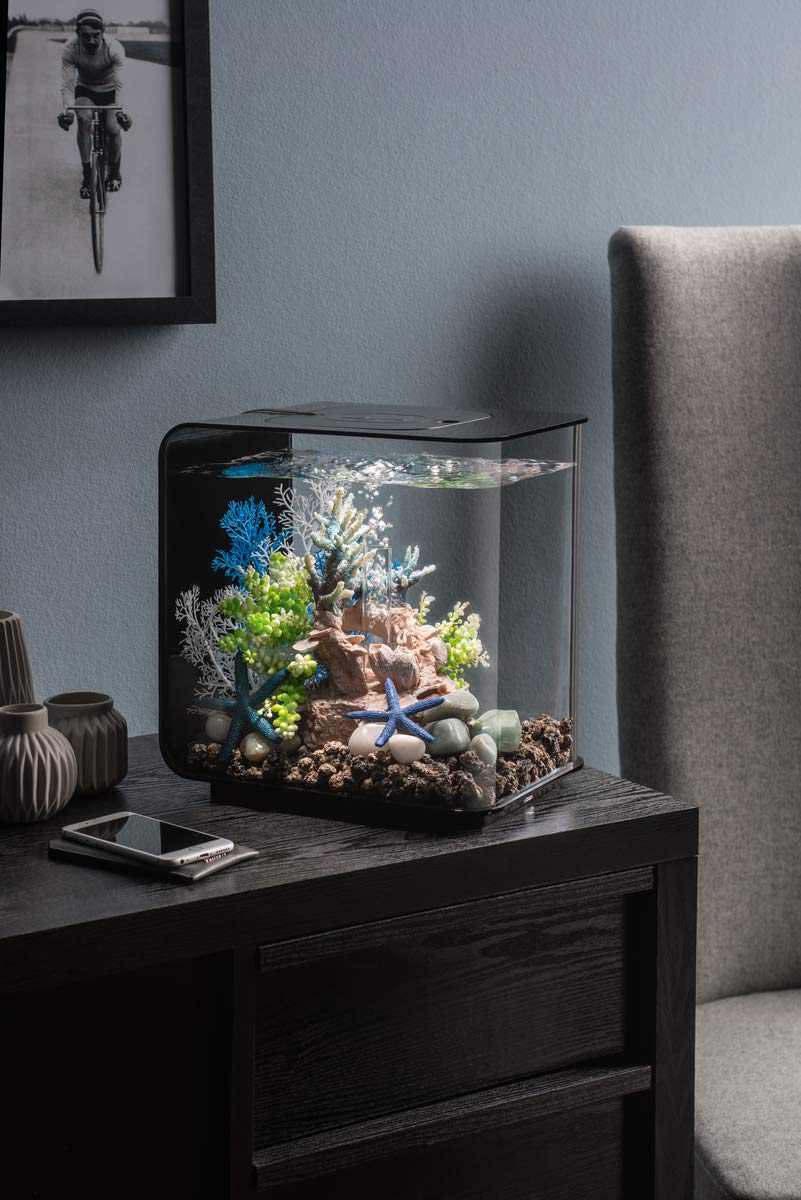biOrb Flow 15 Acrylic 4-Gallon Aquarium with White LED Lights - Modern Compact Fish Tank for Tabletop or Desktop Display (Black) - Perfect for Home Office, Bedroom Decor & Small Space Living