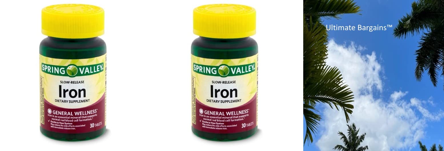 Spring Valley Slow-Release Iron Dietary Supplement - 60 Vegetarian Capsules for Iron Deficiency & Energy Support | Essential Vitamin Guide Included | Perfect for Active Lifestyles & Pregnancy Nutrition
