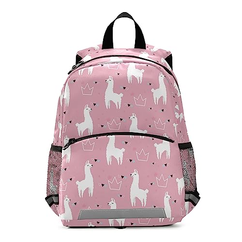 Llama 029