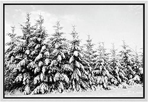 Tree-h01