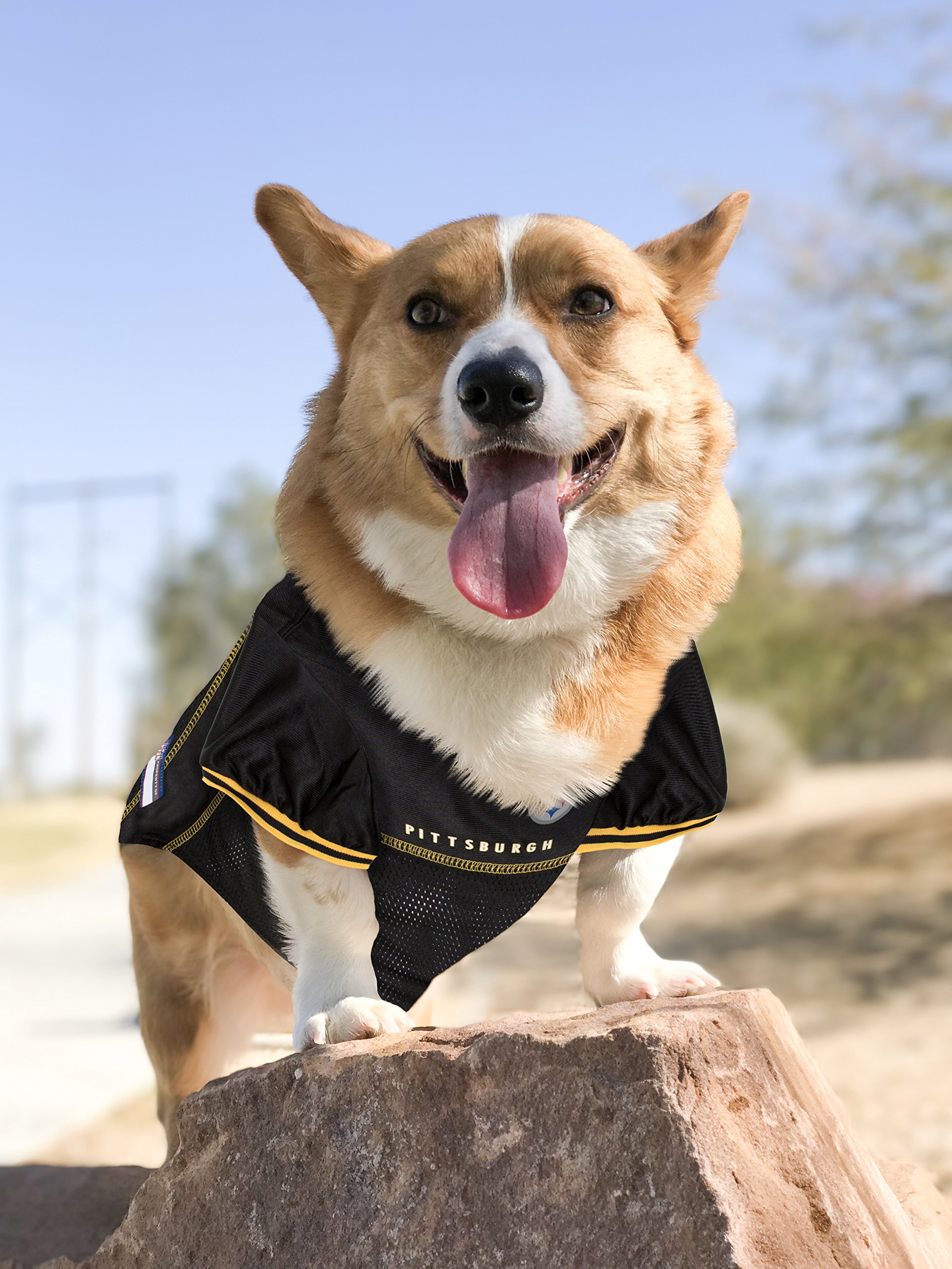 Pittsburgh Steelers NFL Dog Jersey for Small Dogs - Officially Licensed Pet Apparel for Game Day & Fan Events