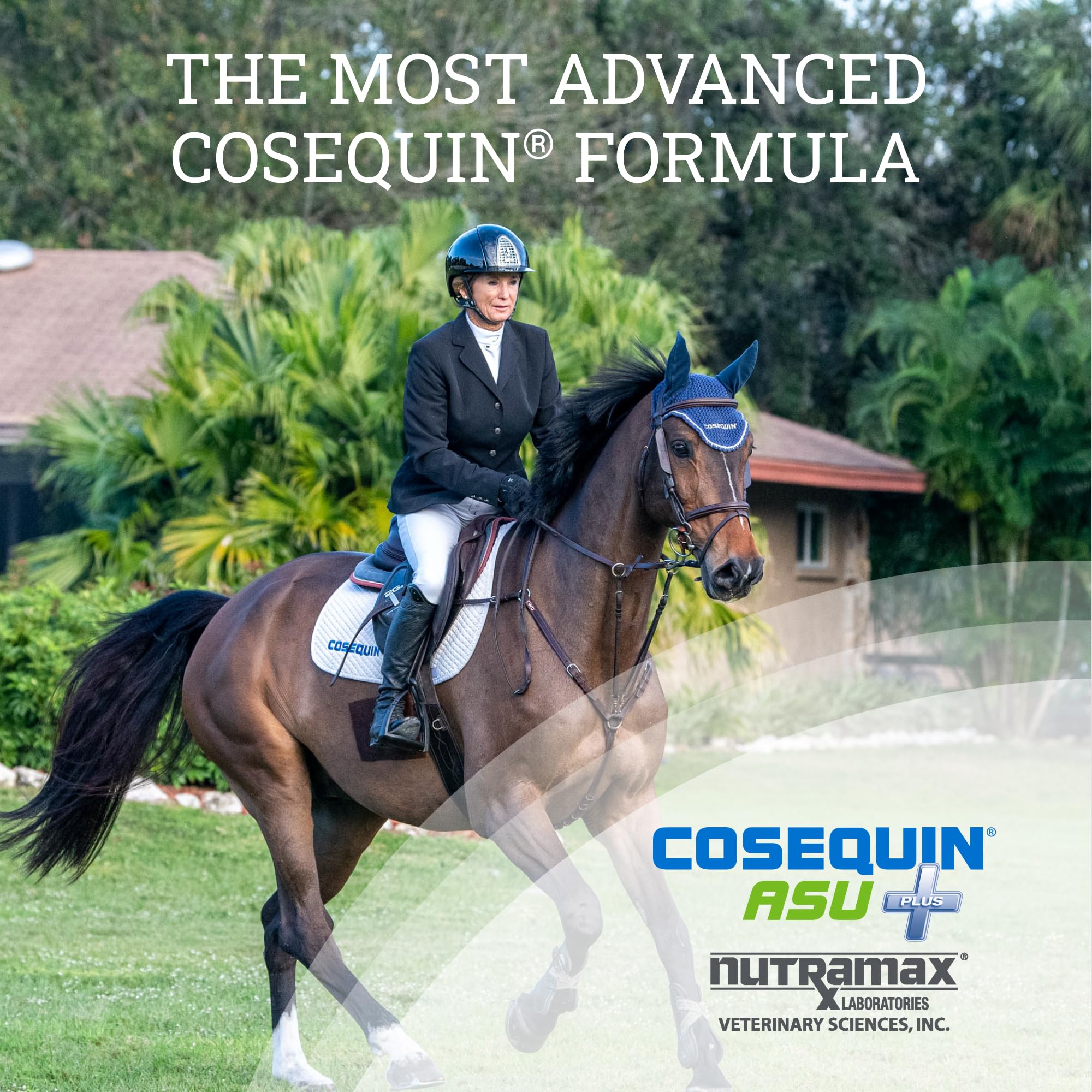 Nutramax Cosequin ASU Joint Health Supplement for Horses - Powder with Glucosamine, Chondroitin, MSM, ASU, Green Tea Extract & Hyaluronic Acid, 1050g | Supports Mobility & Comfort for Active & Senior Horses | Ideal for Training, Competition & Daily Joint Care