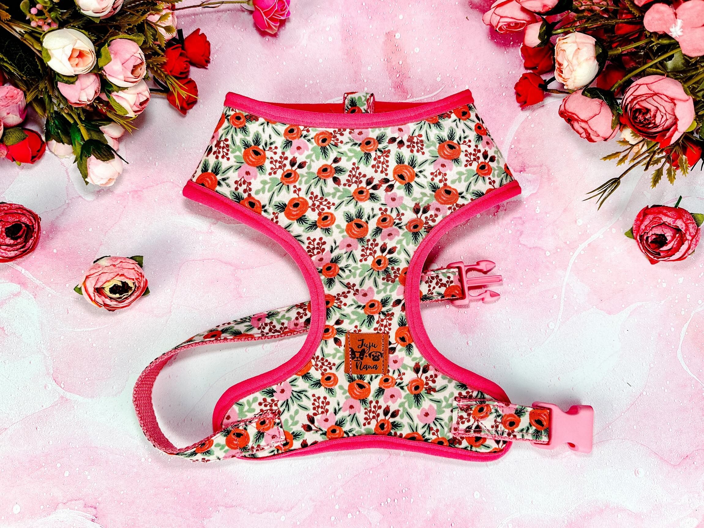 Rifle Paper Co Dog Harness Set - Rosa in Blush | Adjustable Pet Harness for Small & Medium Dogs | Perfect for Walks, Hiking & Outdoor Adventures