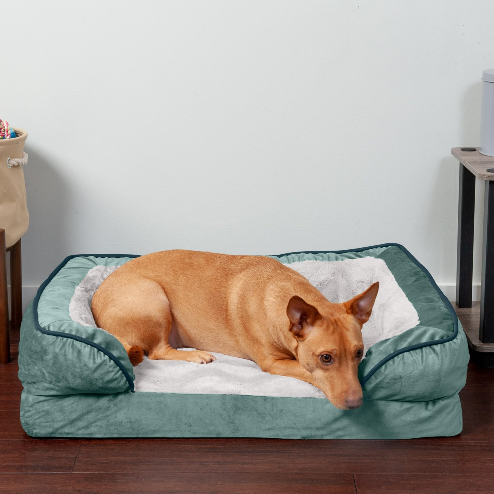 Furhaven Orthopedic Dog Bed for Small & Medium Dogs - Plush Velvet Sofa with Removable Bolsters & Washable Cover - Supports Up to 35 lbs - Celadon Green Medium Size - Perfect for Pets with Joint Pain or Post-Surgery Recovery