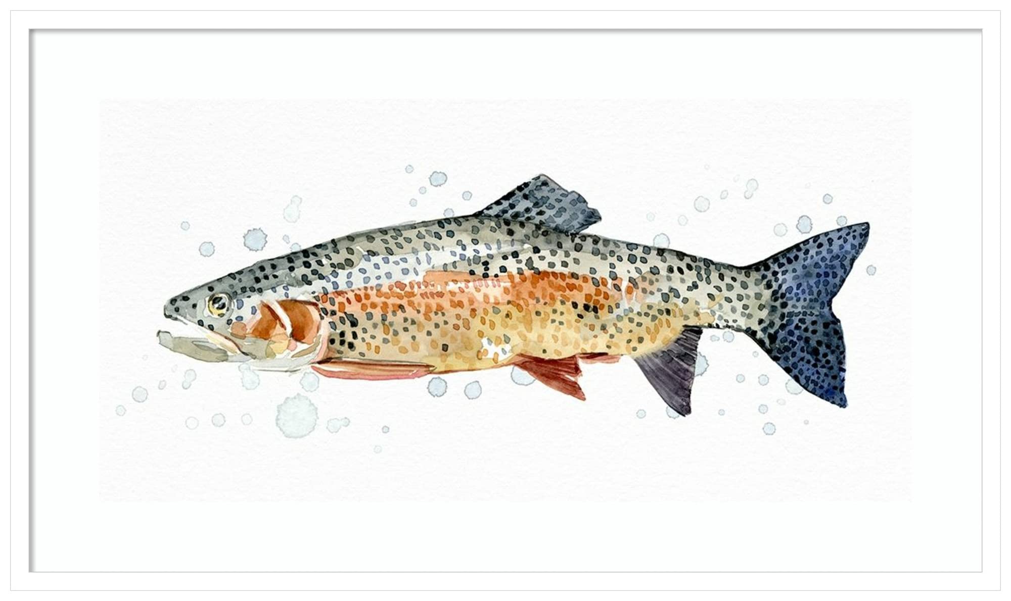 Emma Caroline Watercolor Rainbow Trout II Wall Art Print - 41x24 Inch Wood Framed Painting with Svelte White Border - Nature Inspired Home Decor for Living Room, Bedroom & Office