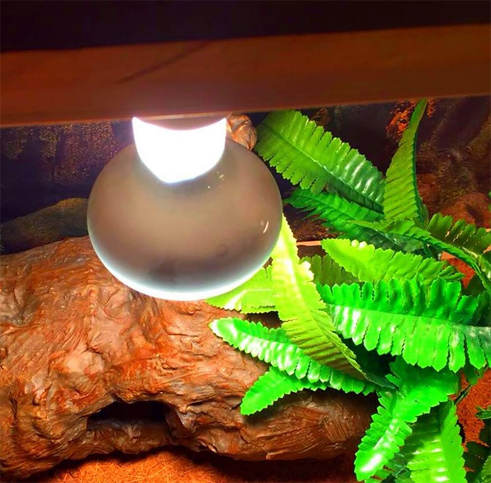 50W Basking Spot Heat Lamp Bulbs for Reptiles - 110V Mercury Vapor Bulbs, Soft White Poly Sand Light Dome Bulb for Tortoise, Lizard & Amphibian Habitat - 2 Pack - Ideal for Terrariums, Vivariums & Reptile Enclosures