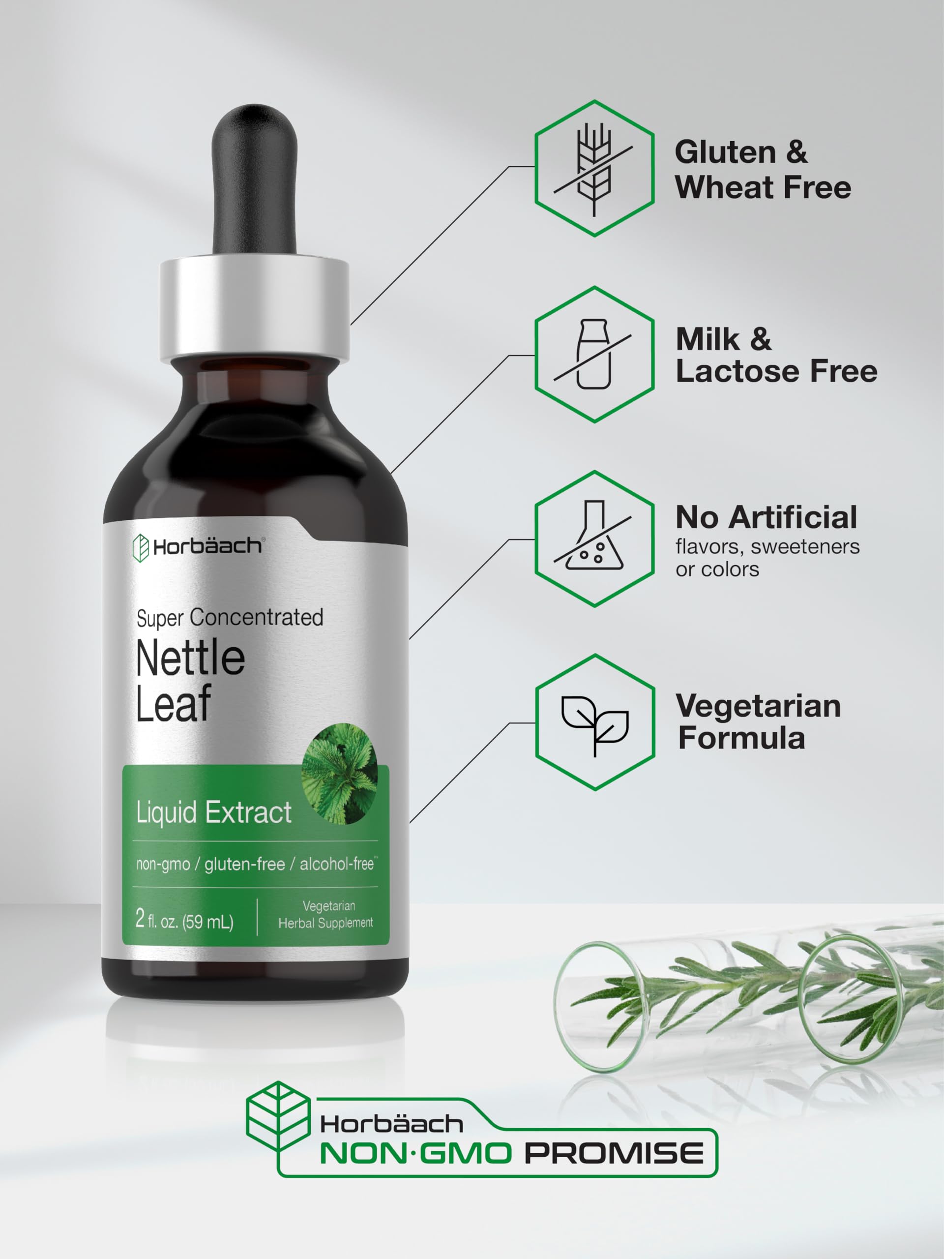 Horbäach Nettle Leaf Extract Drops 2 fl oz | Alcohol-Free Vegetarian Liquid Supplement | Non-GMO, Gluten-Free Herbal Tincture | Supports Immune & Urinary Health | Perfect for Daily Wellness & Natural Detox
