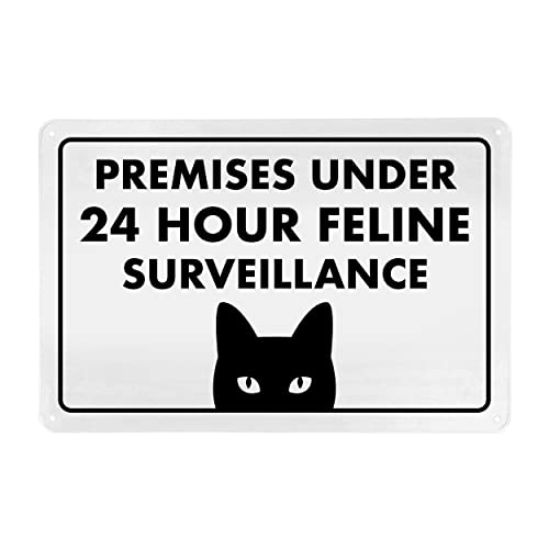 Guard Cat on Duty