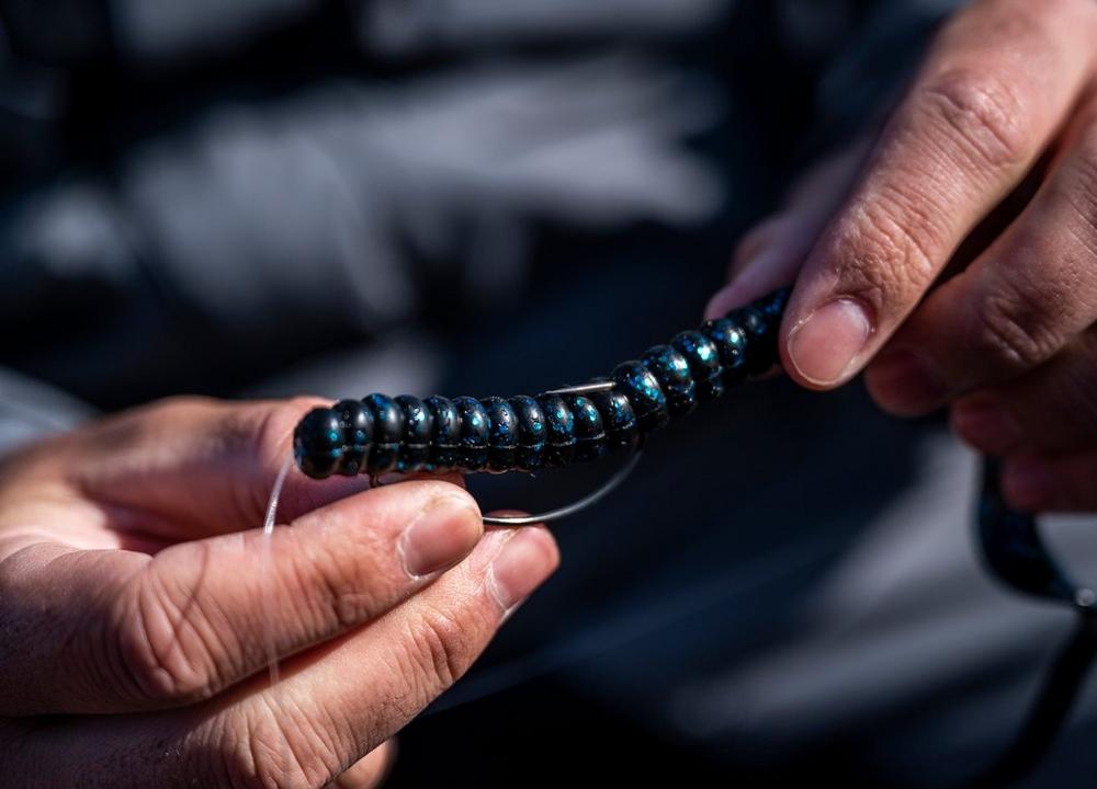 Berkley PowerBait Power Worms - Soft Plastic Fishing Lures for Bass, Trout & Panfish - Realistic Scent & Action - Perfect for Freshwater & Saltwater Fishing