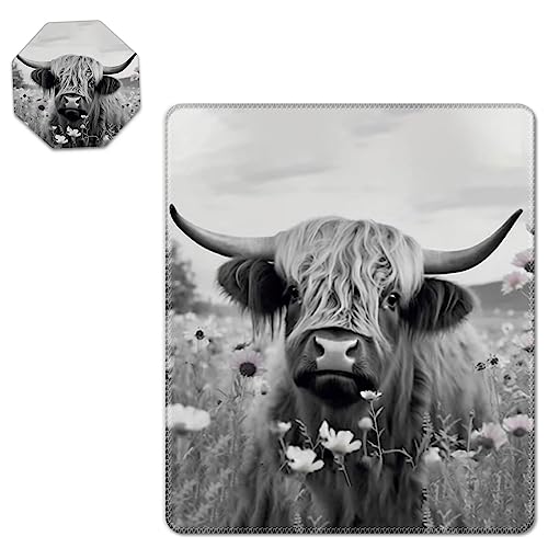 Highland Cow Ox Cattle