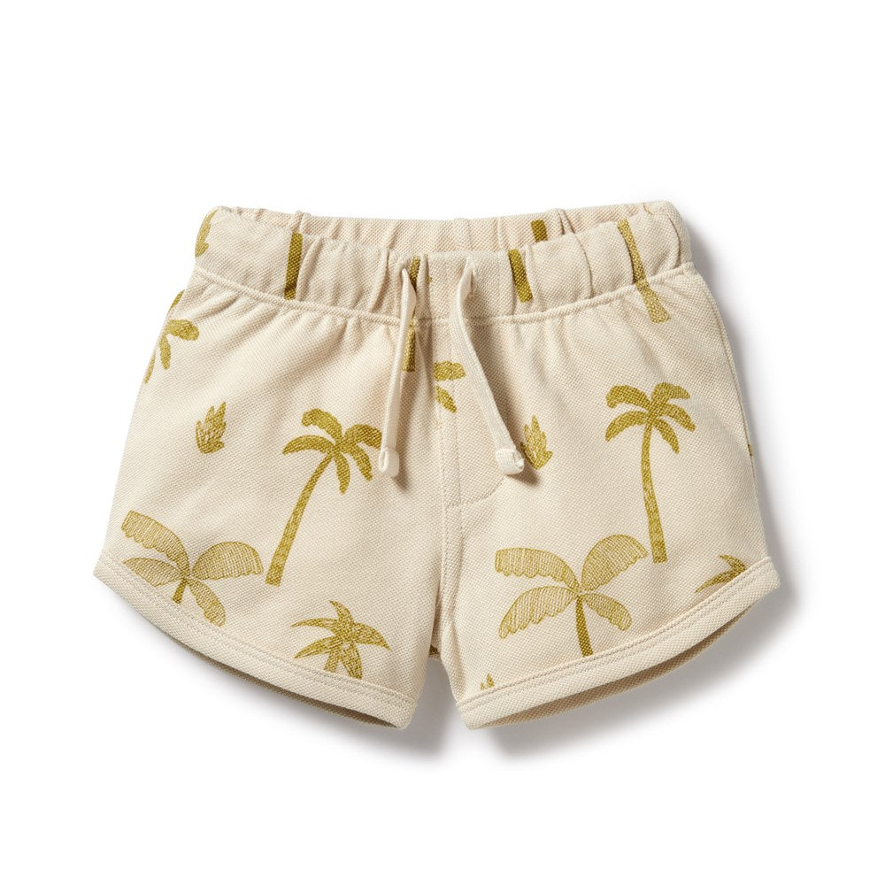 Organic Cotton Shorts for Women - Comfortable & Breathable Summer Shorts - Perfect for Yoga, Running, and Casual Wear | Palm Days Collection