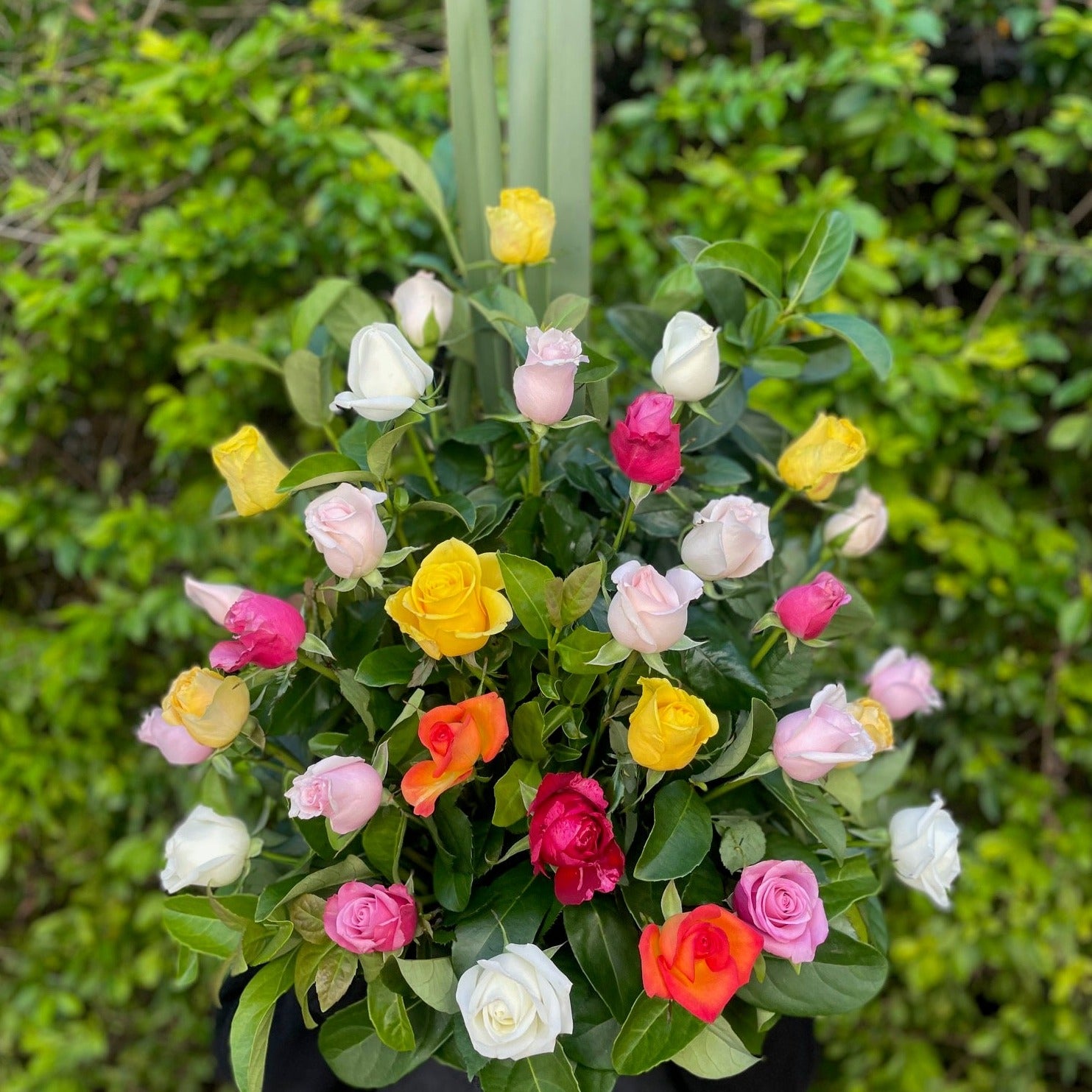 Premium Mixed Rose Bouquet for Wedding Ceremony Arrangements - Perfect for Bridal Bouquets, Centerpieces & Romantic Decor