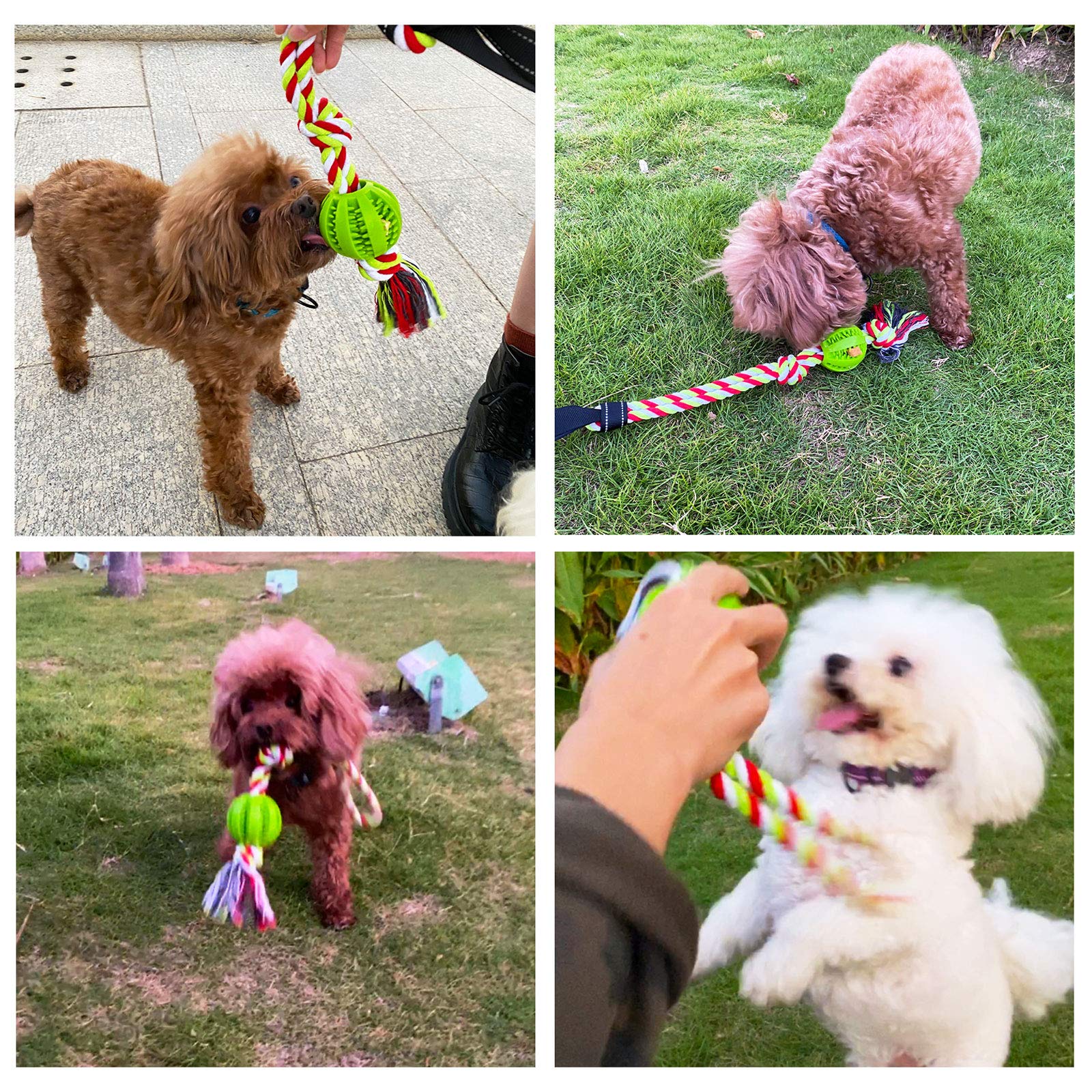 Durable Dog Bungee Toy for Large & Small Dogs - Chew-Resistant Tug-of-War Rope with Bungee Cord - Perfect for Outdoor Play, Training & Solo Entertainment