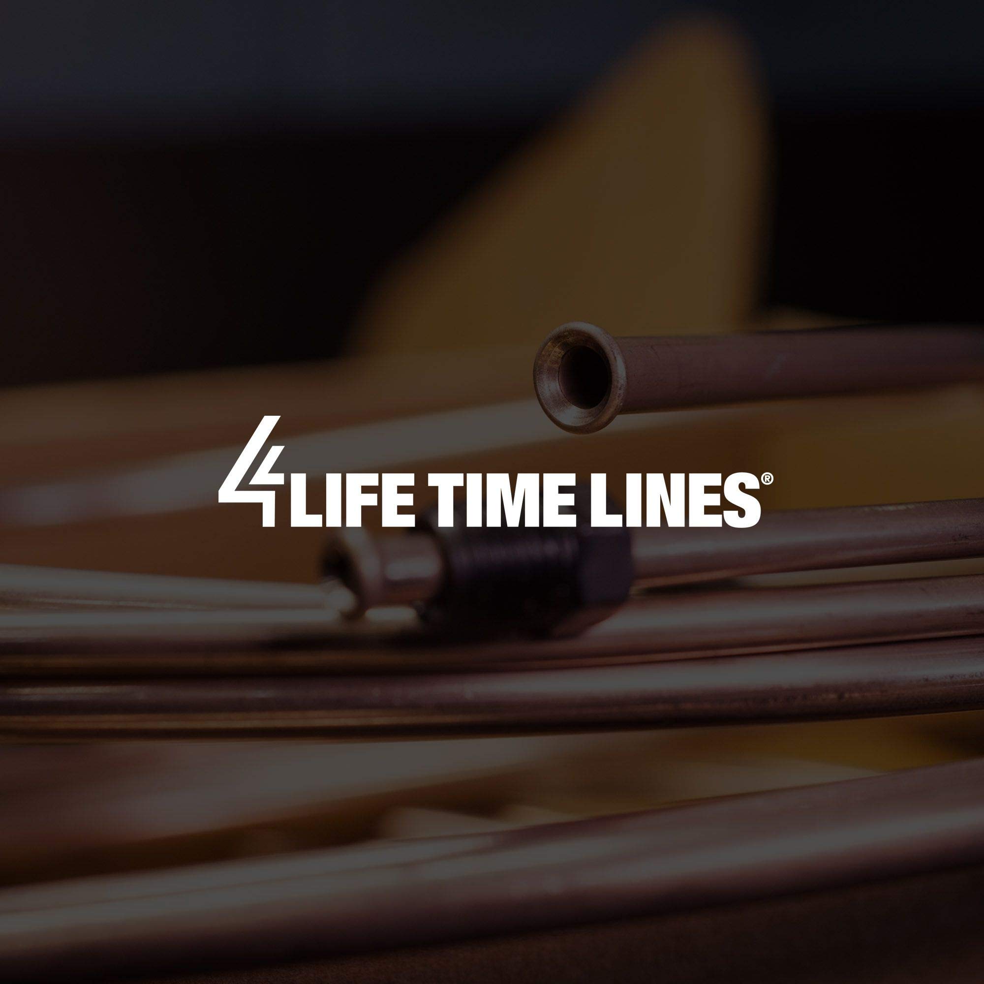 4LIFETIMELINES Professional Brake Line Flaring Tool Kit with 3/16