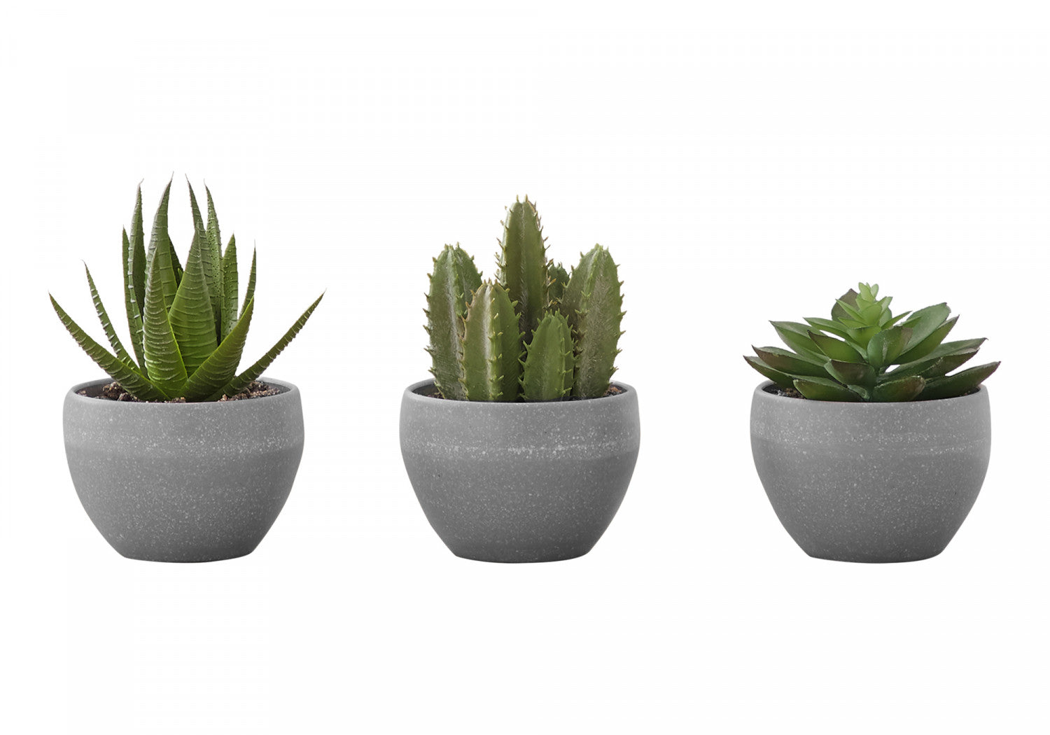 6 Pack Succulent Plants in Grey Pots - Set of 3 Live Indoor Houseplants for Home Decor, Office Desk, or Gift