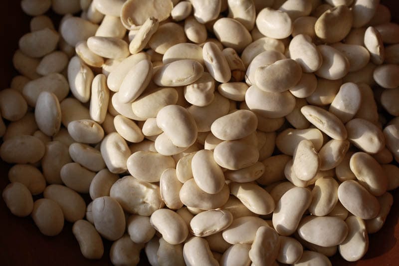 Rancho Gordo Classic Cassoulet Beans 1 lb - Premium Heirloom White Beans for Authentic French Cassoulet, Soups & Stews | Perfect for Slow Cooking & Gourmet Recipes