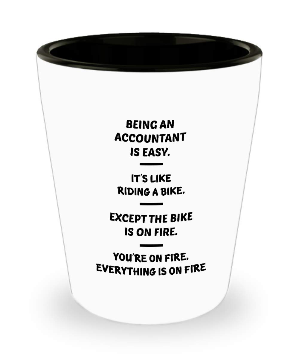 Funny Accountant Gifts for Mother's Day - Unique Humorous Presents for Men & Women - Perfect for Office Decor, Coworker Appreciation & Friend Gifts