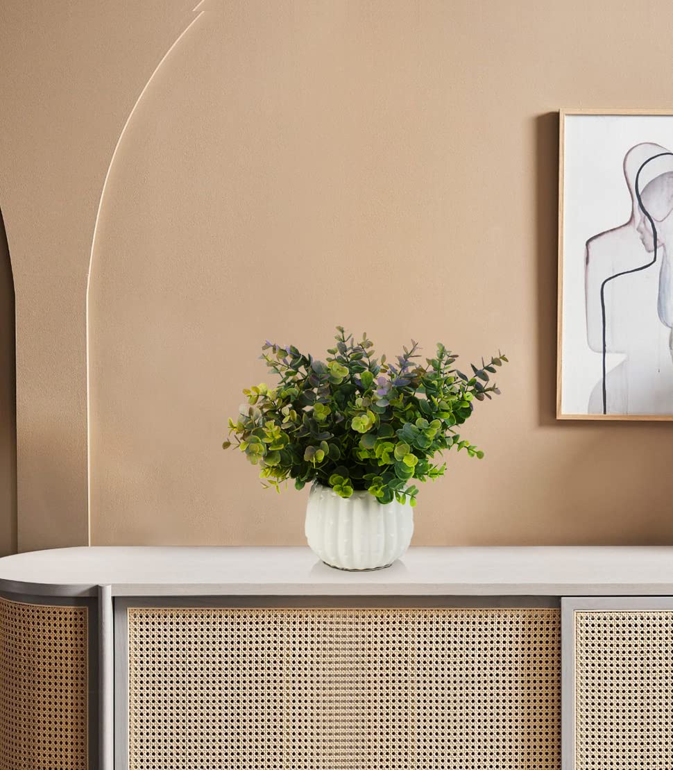 ENOVA FLORAL Artificial Eucalyptus Plants in White Ceramic Pots - Small Fake Potted Plants for Home, Office & Wedding Decor - Perfect for Table Centerpieces, Shelf Decor & Indoor Greenery