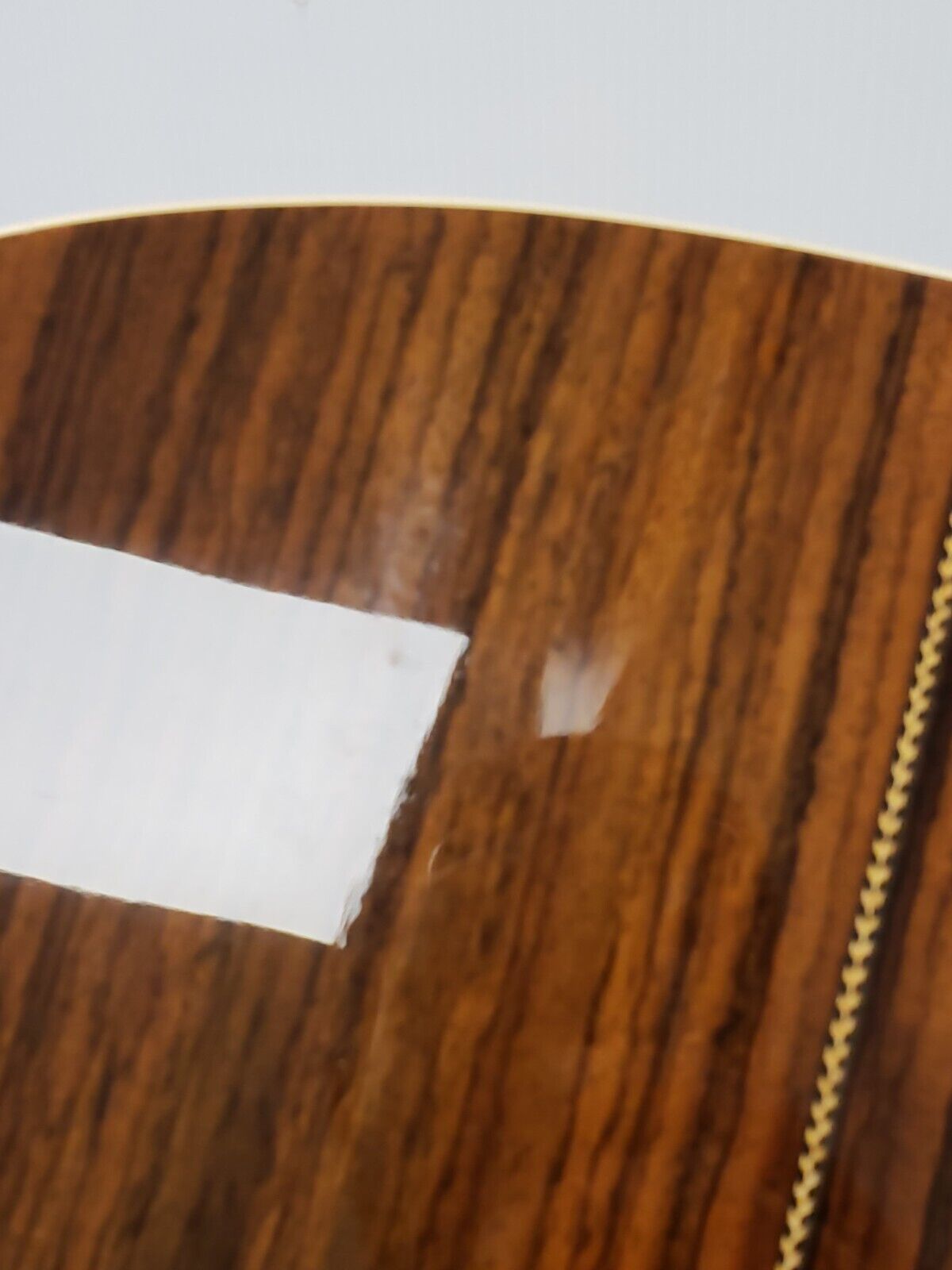 Seagull 22601 Acoustic Guitar - Premium Handcrafted Solid Wood Guitar for Beginners & Professionals - Perfect for Home, Studio & Live Performances