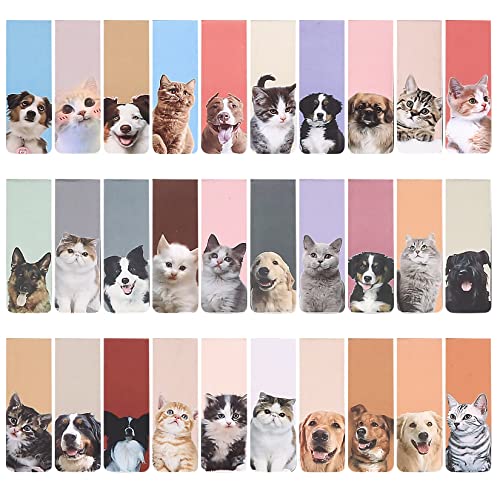 Cat and Dog