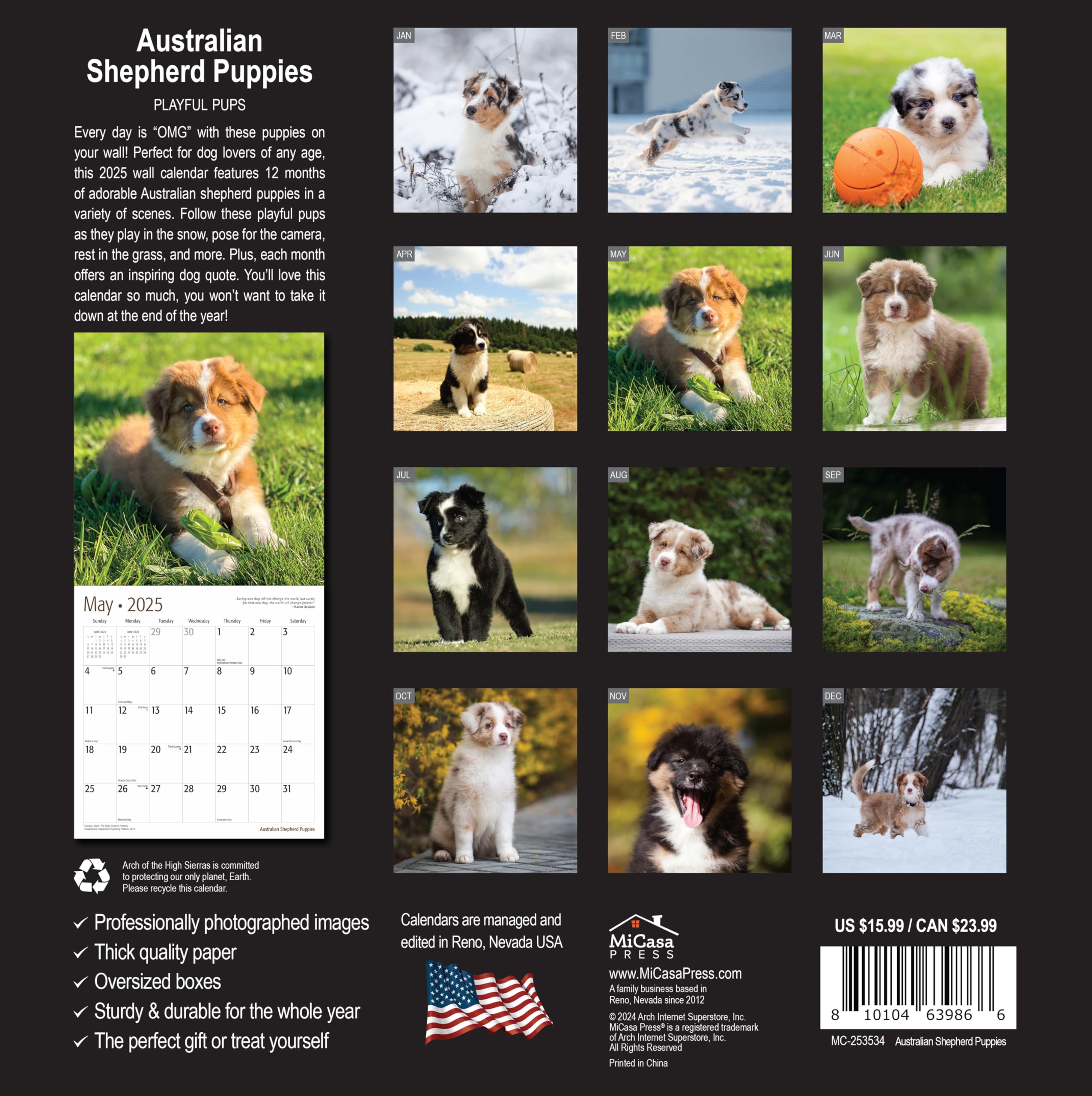 MICASA PRESS - 2025 Australian Shepherd Puppies Wall Calendar | 12