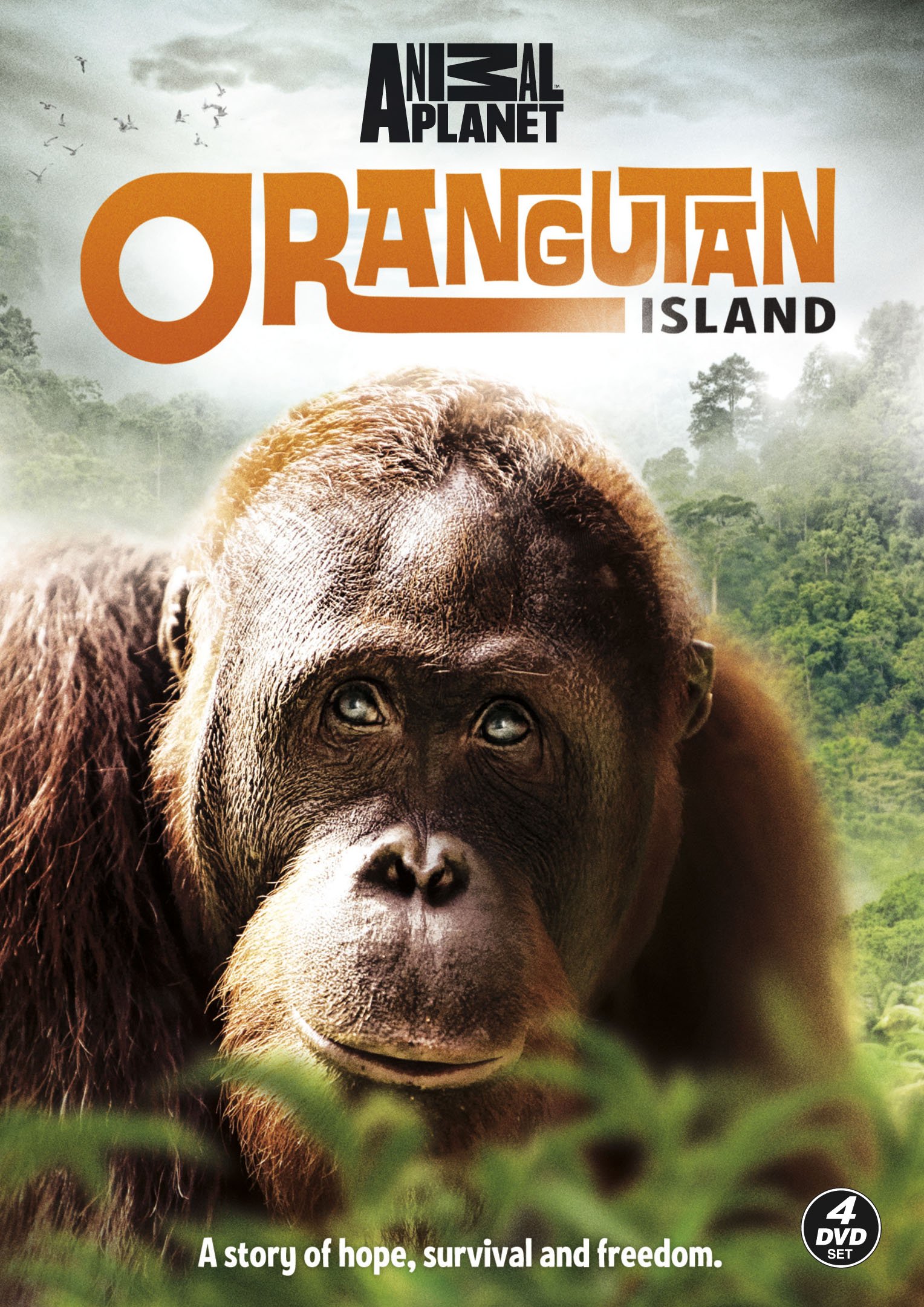 Orangutan Island - Premium Handmade Wooden Puzzle for Kids & Adults | Perfect for Family Game Nights, Educational Play & Home Decor