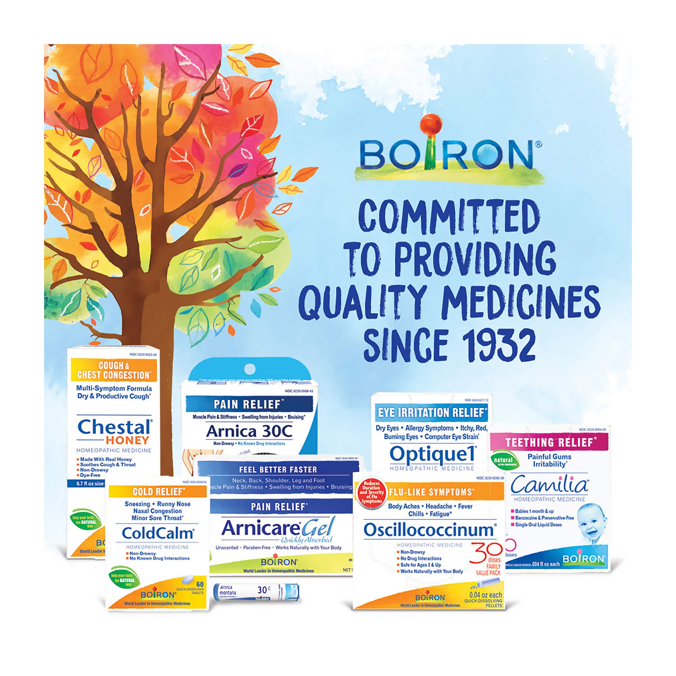 Boiron Chelidonium Majus 30c Homeopathic Medicine for Nausea & Right Upper Back Pain Relief - 240 Pellets (3-Pack) | Natural Digestive Support for Liver Health & Gallbladder Discomfort