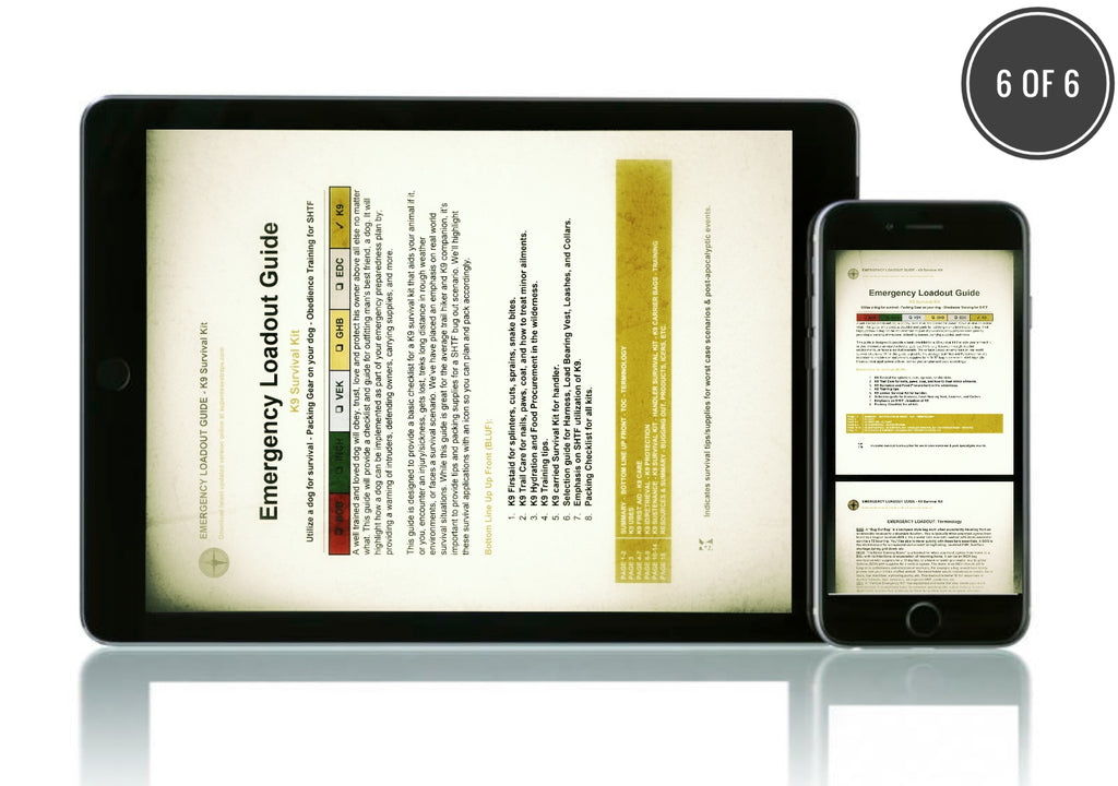 Best Digital Guide Set Bundle - Complete Online Learning & Travel Companion for Students & Professionals | Perfect for E-Learning, Remote Work & Adventure Travel