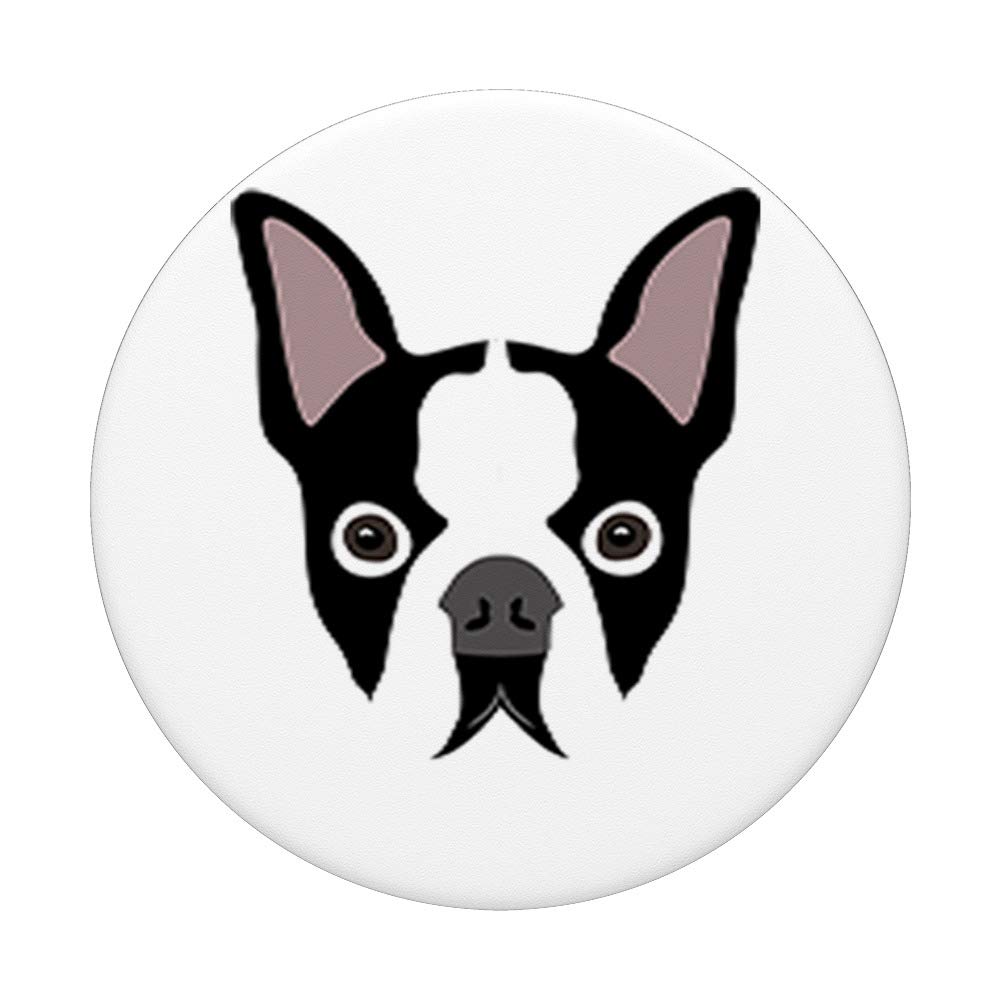 Boston Terrier Dog - Adorable Small Breed Puppy for Families & Apartment Living | Perfect Companion Pet for Home, Walks & Cuddles