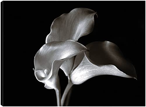 Calla Cluster